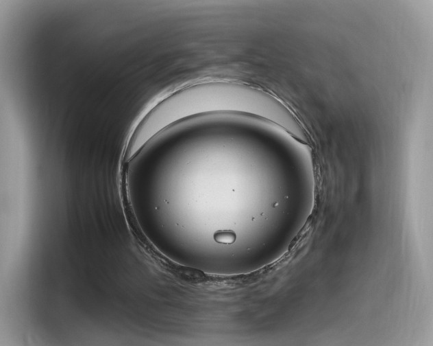 X0000115560100200911131635