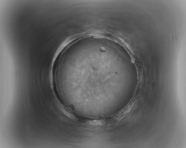 X0000115560102200911131635