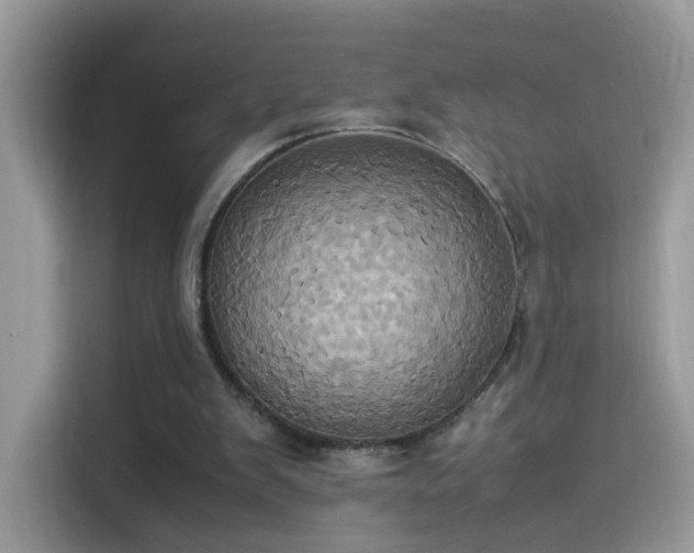 X0000115560103200911131635