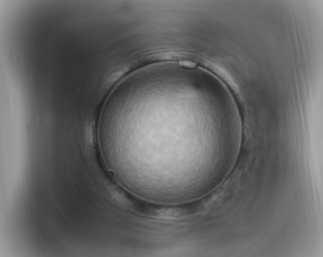 X0000115560105200911131635