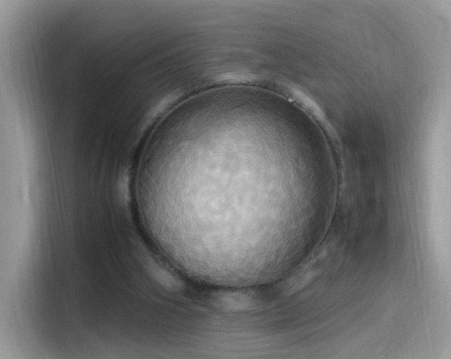 X0000115560106200911131635