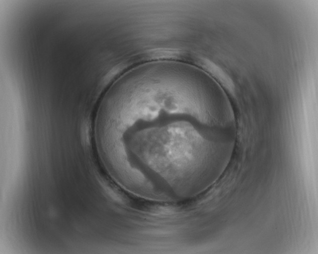 X0000115560107200911131635