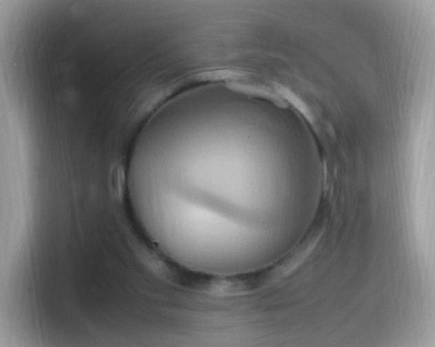 X0000115560109200911131635