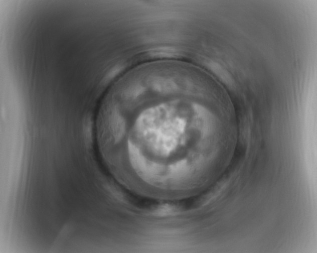 X0000115560111200911131635