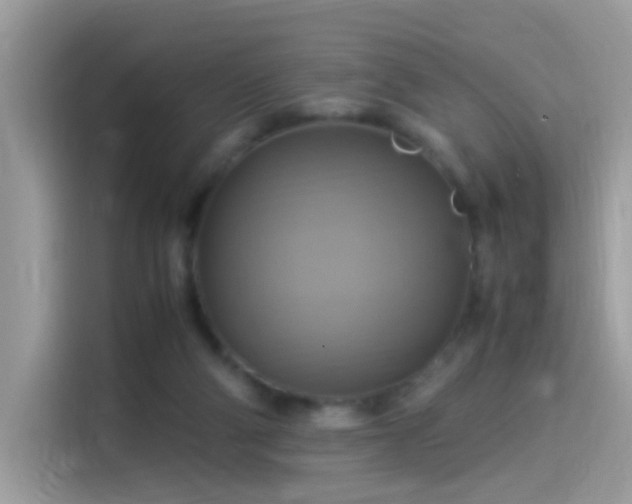 X0000115560114200911131635