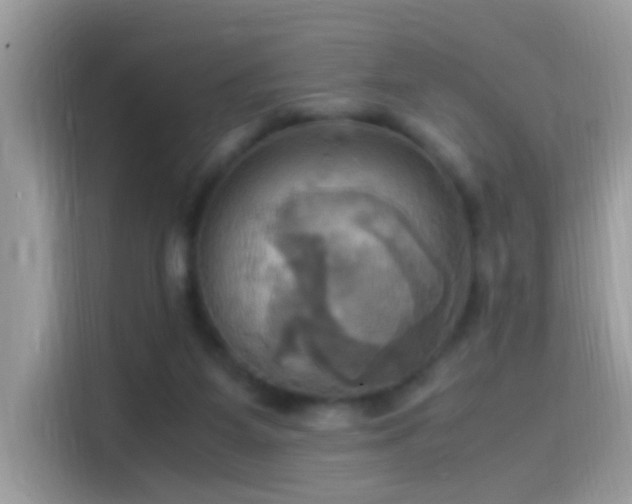 X0000115560115200911131635