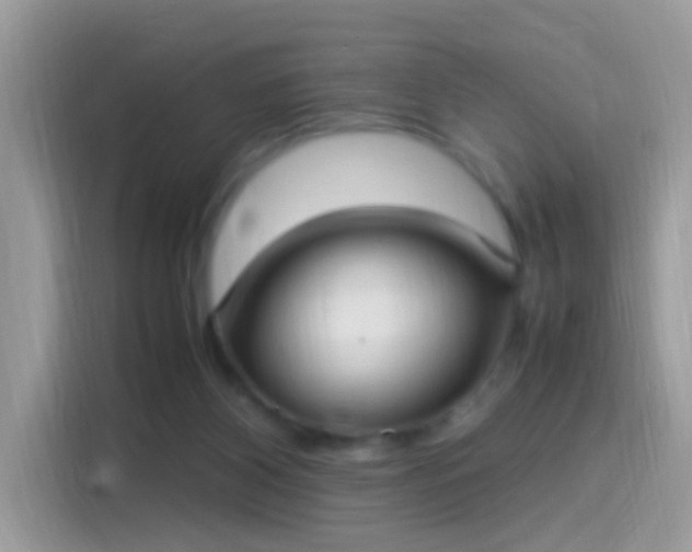 X0000115560116200911131635