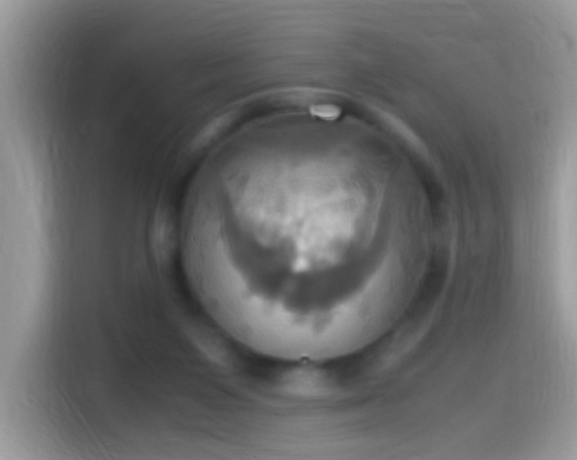 X0000115560119200911131635