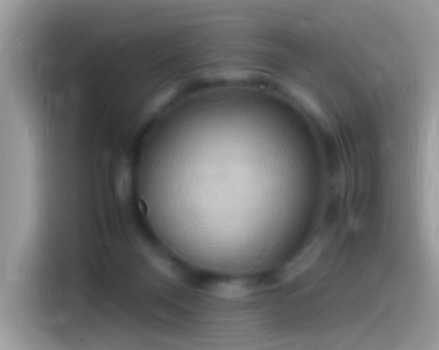 X0000115560120200911131635