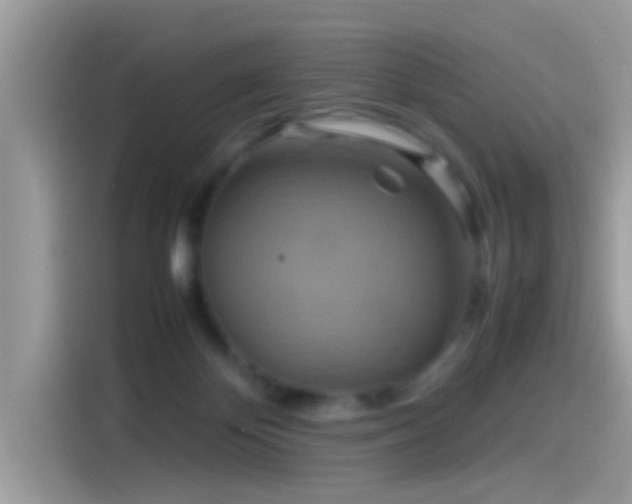 X0000115560124200911131635