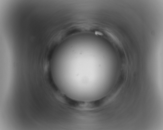 X0000115560125200911131635