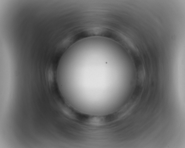 X0000115560126200911131635