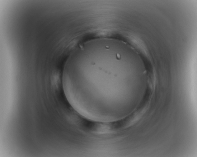 X0000115560127200911131634