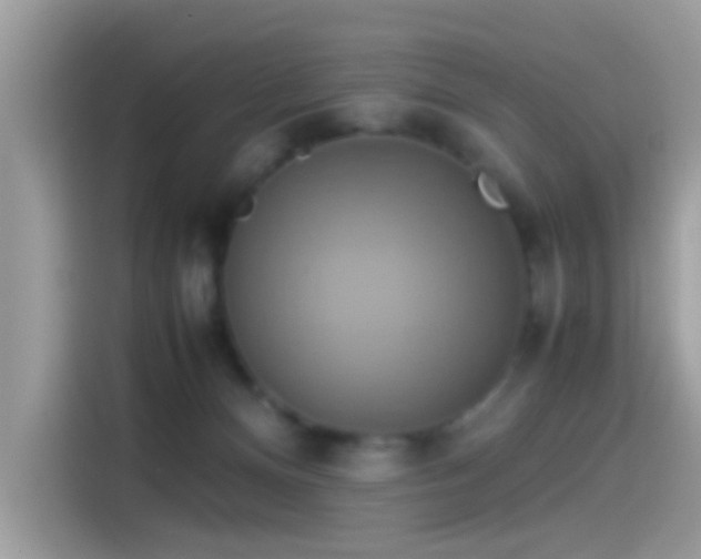 X0000115560128200911131634