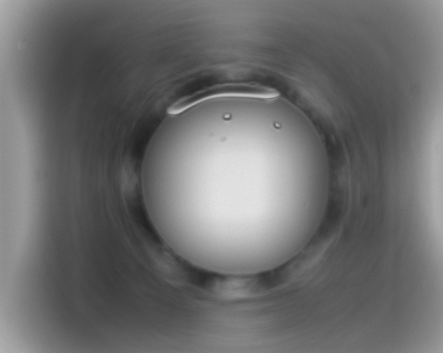 X0000115560129200911131634