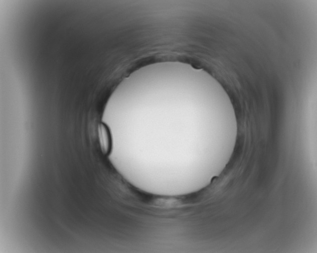 X0000115560133200911131634