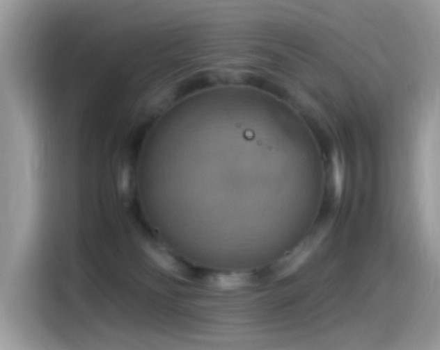 X0000115560134200911131634