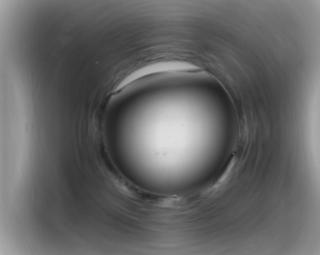 X0000115560136200911131634