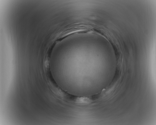 X0000115560137200911131634