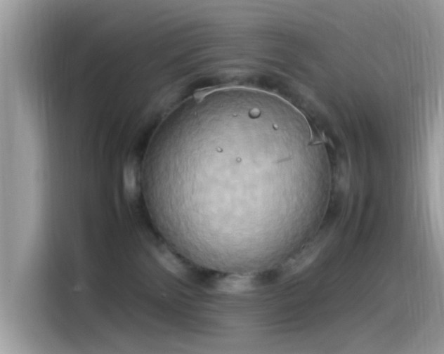 X0000115560138200911131634