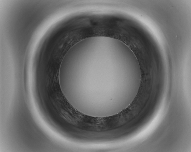 X0000115560143200911131634