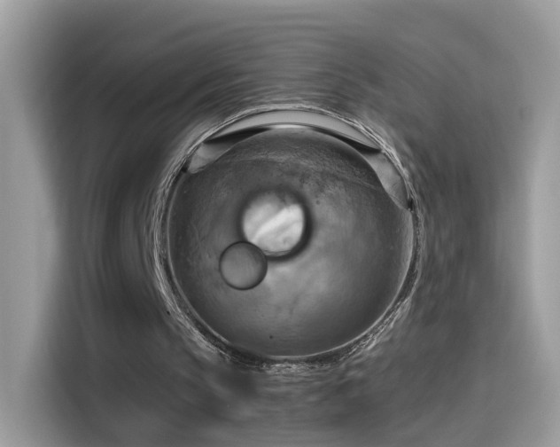 X0000115560145200911131634