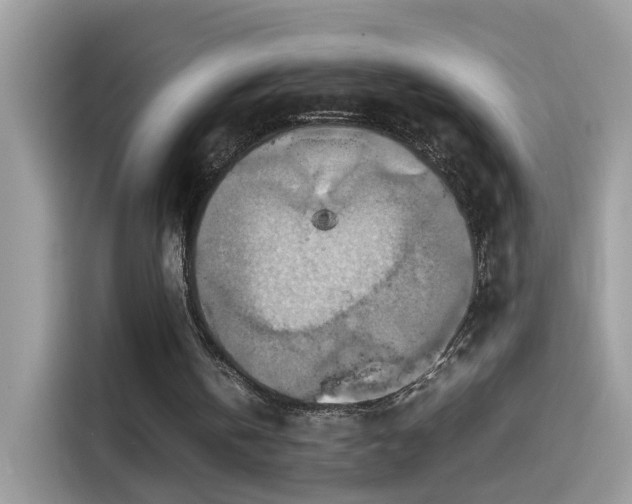 X0000115560146200911131634