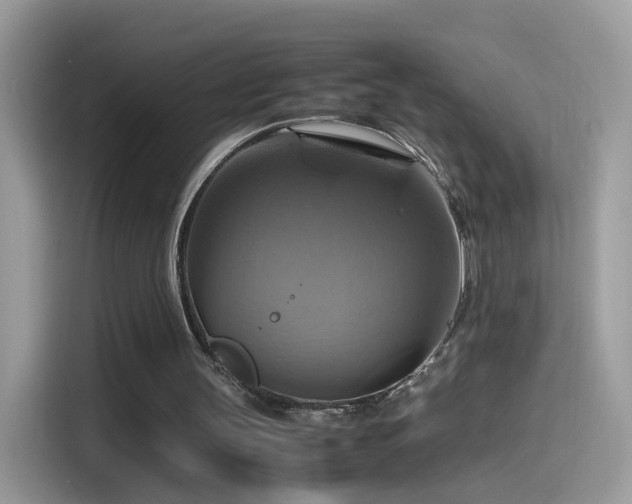 X0000115560147200911131634