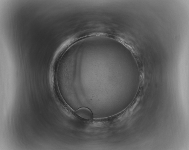 X0000115560149200911131634