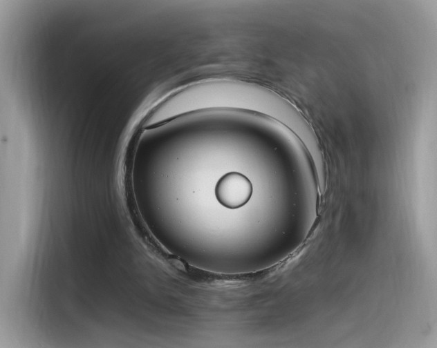 X0000115560150200911131634