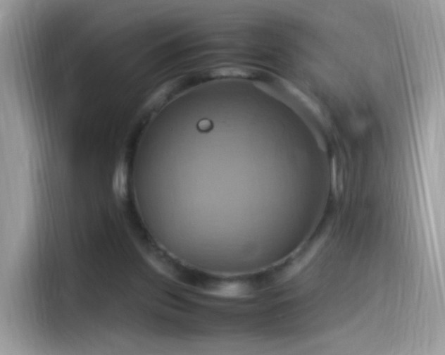 X0000115560157200911131634