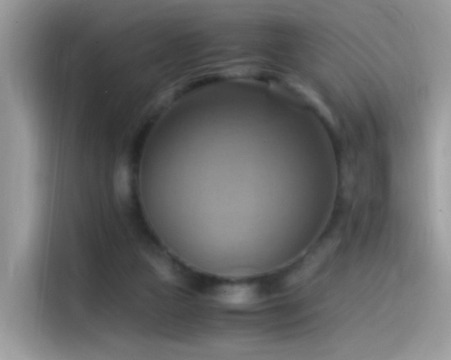 X0000115560161200911131634