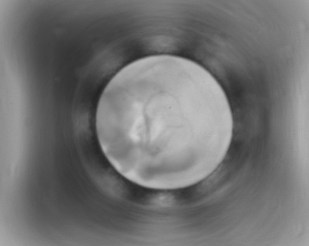 X0000115560162200911131634