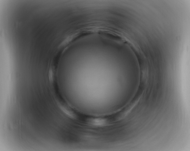 X0000115560165200911131634