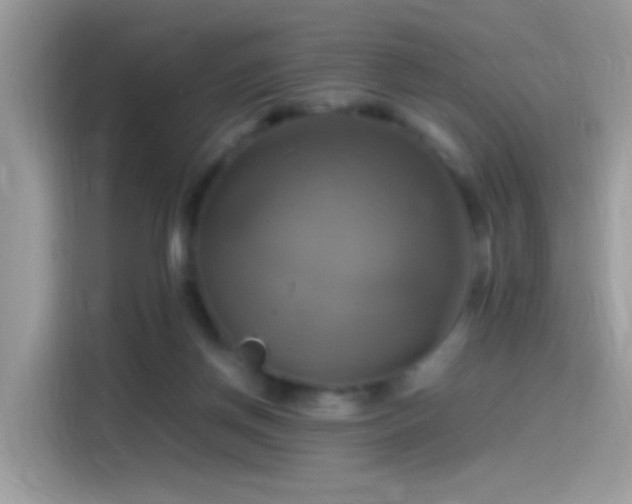 X0000115560166200911131634