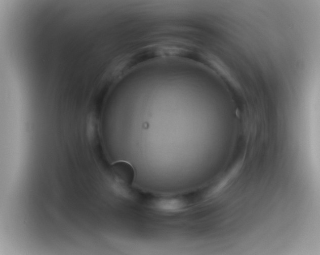 X0000115560169200911131634