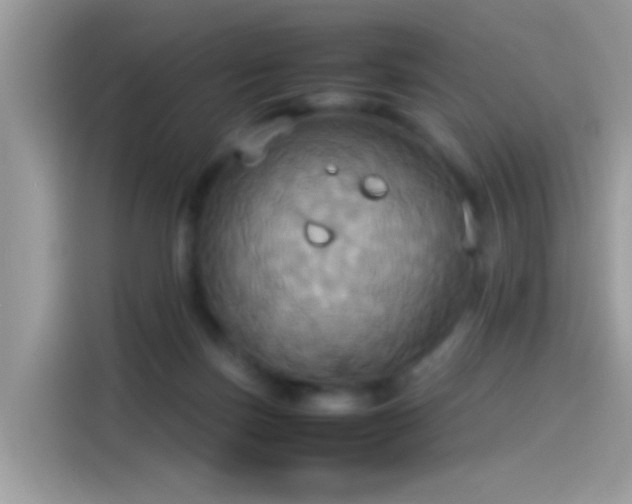 X0000115560171200911131634