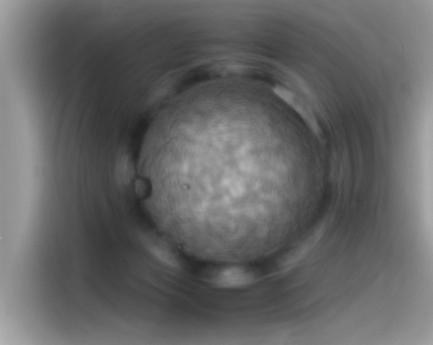 X0000115560173200911131634