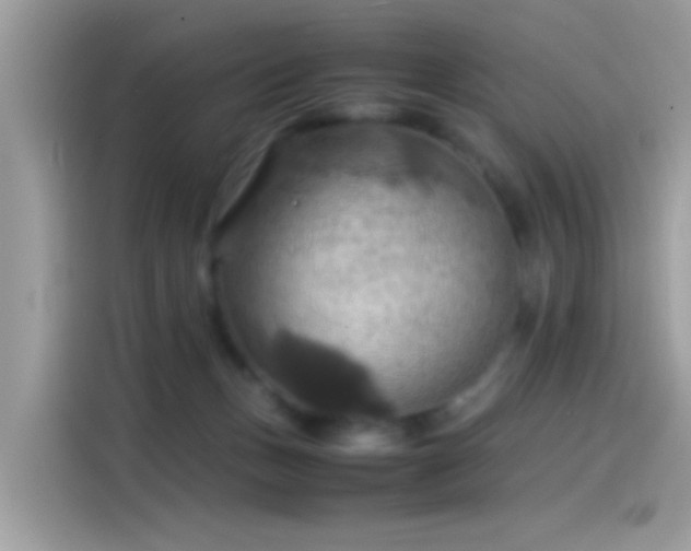 X0000115560175200911131634