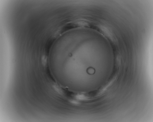 X0000115560177200911131634