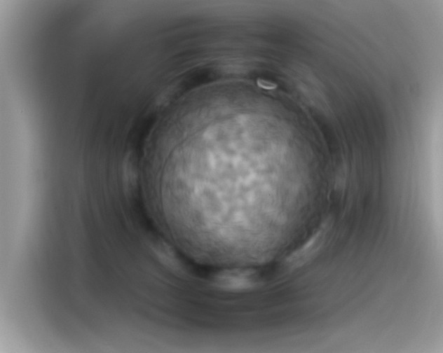 X0000115560179200911131634