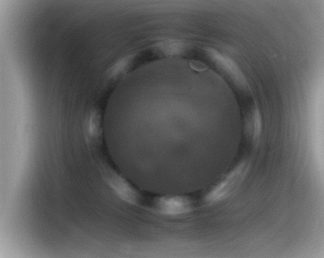 X0000115560181200911131634