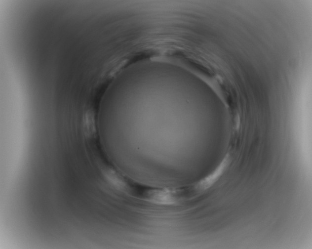 X0000115560182200911131634