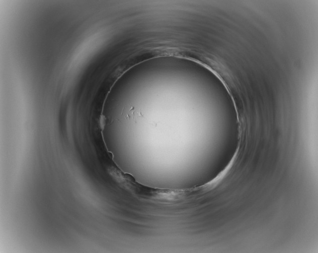 X0000115560190200911131634