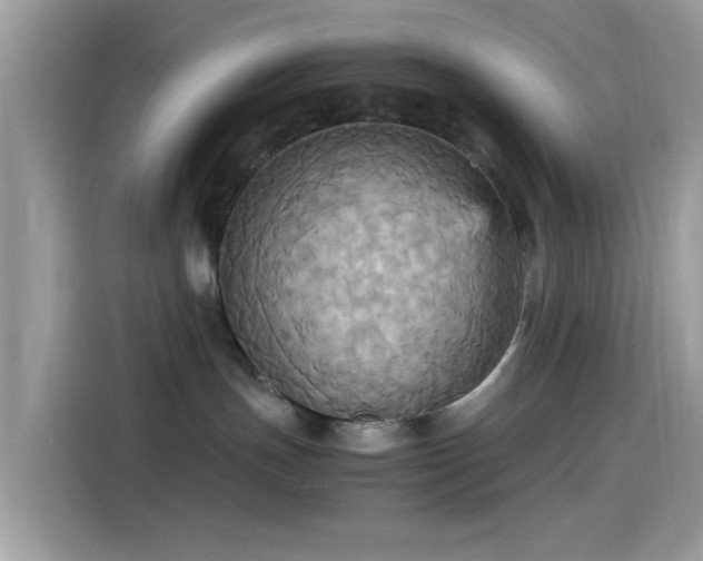 X0000115560191200911131634