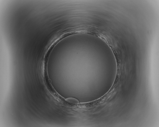 X0000115560194200911131634