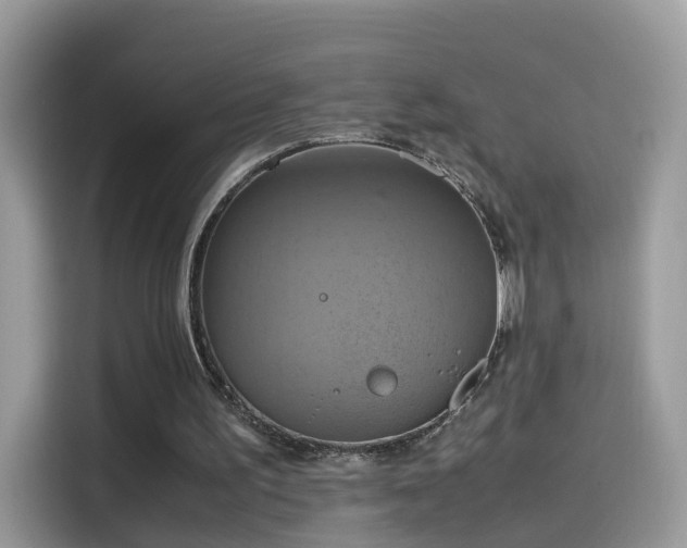 X0000115560195200911131634