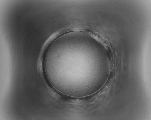 X0000115560197200911131634