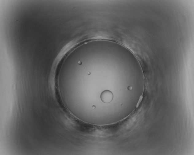 X0000115560199200911131634