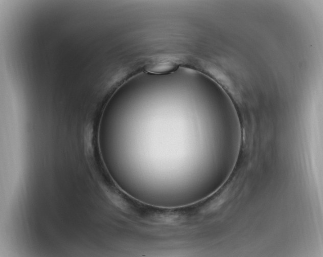 X0000115560201200911131634